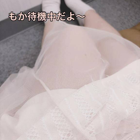 もか待機中