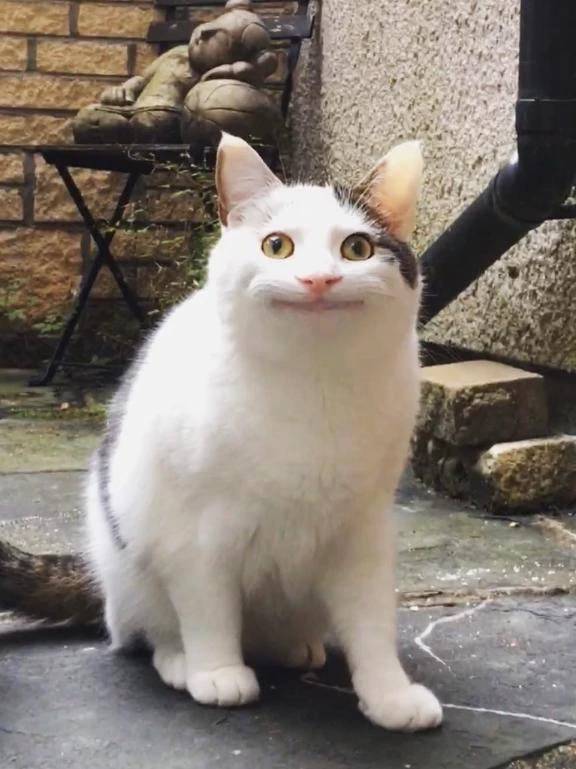 ☁️かんなちゃん☁️