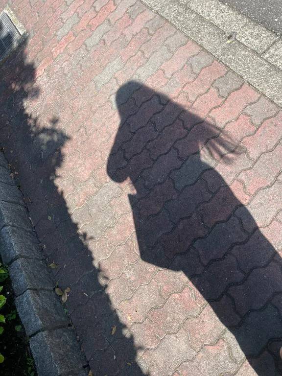 *-ω-)ﾉ" おはゆ