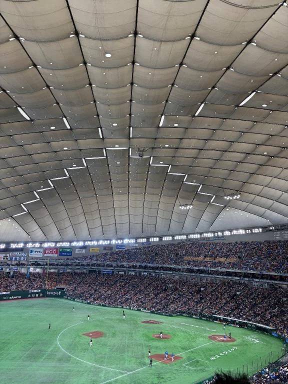 野球観に行ってきました⚾️