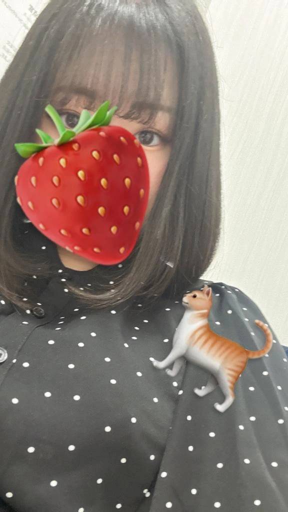 🍓本日🍓