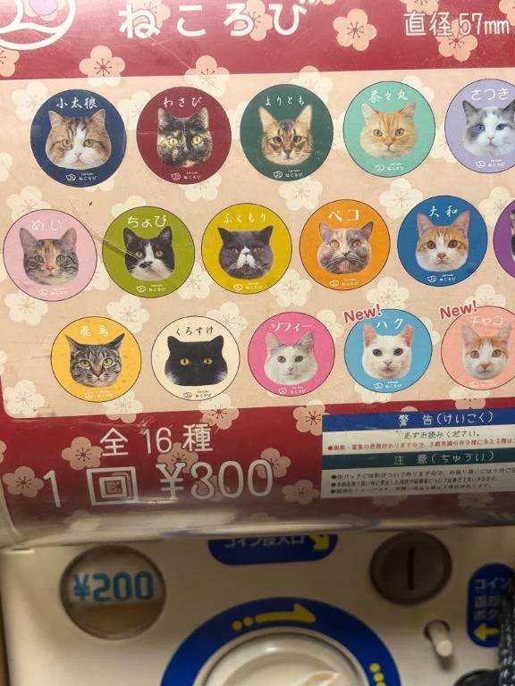 ガチャポン🩷