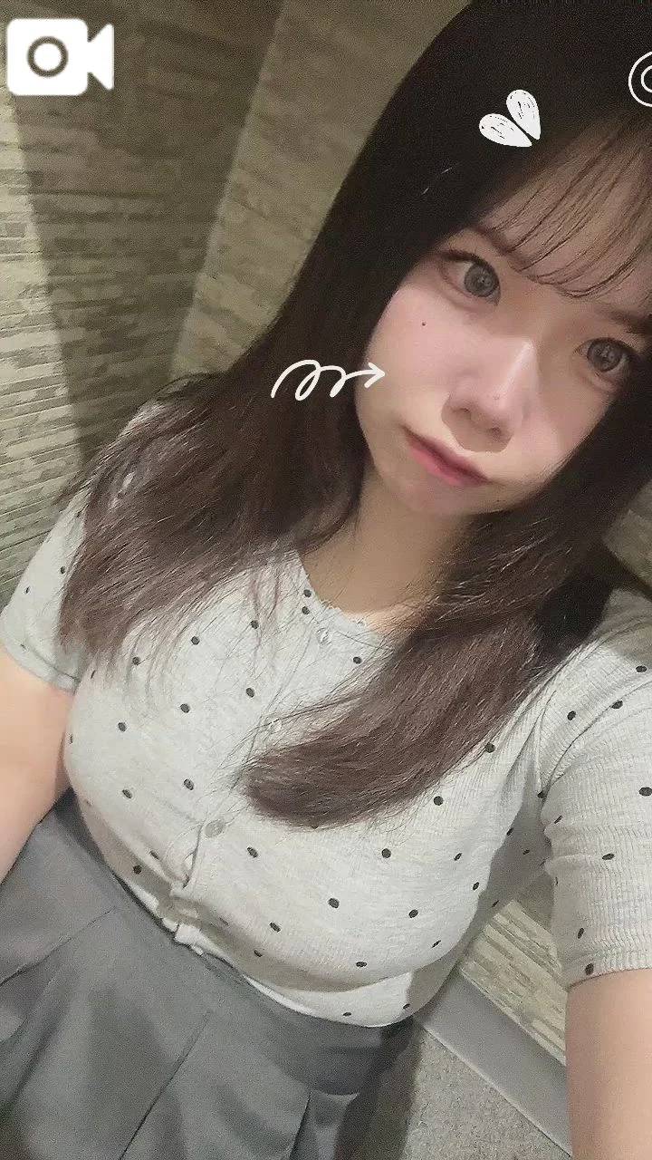 出勤🐰