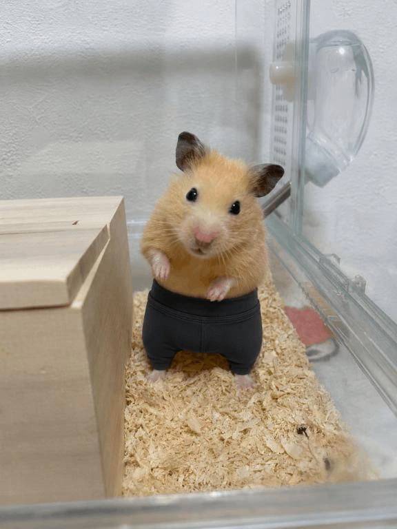 明日から