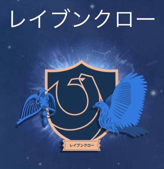 あなたのはレビオサー