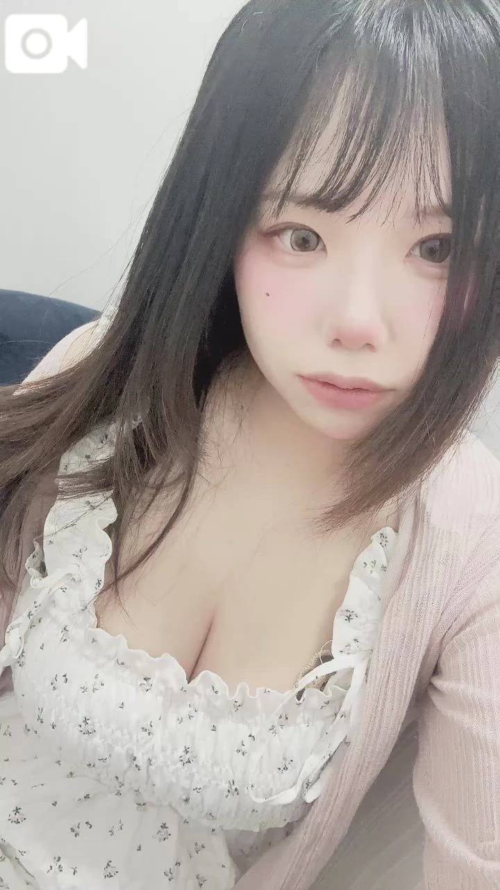 出勤🐰