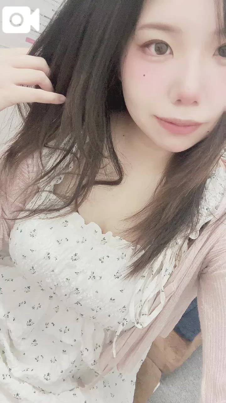 出勤🐰