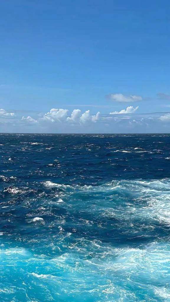 来週🌊