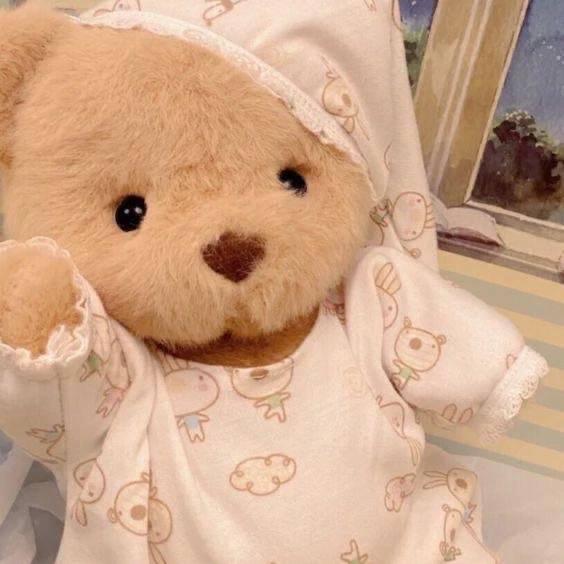 予約完売🧸⭐️