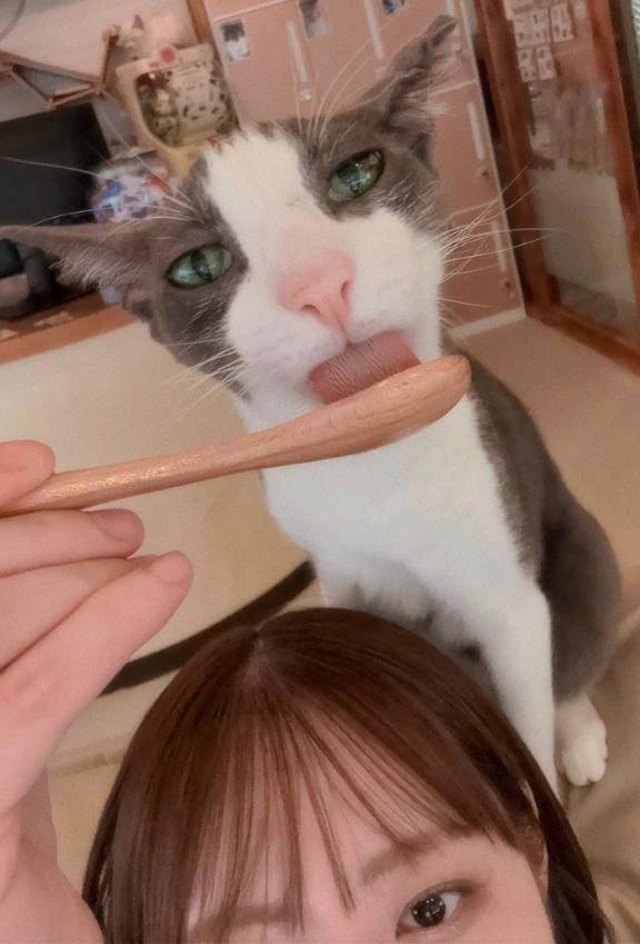 いやし～🐱
