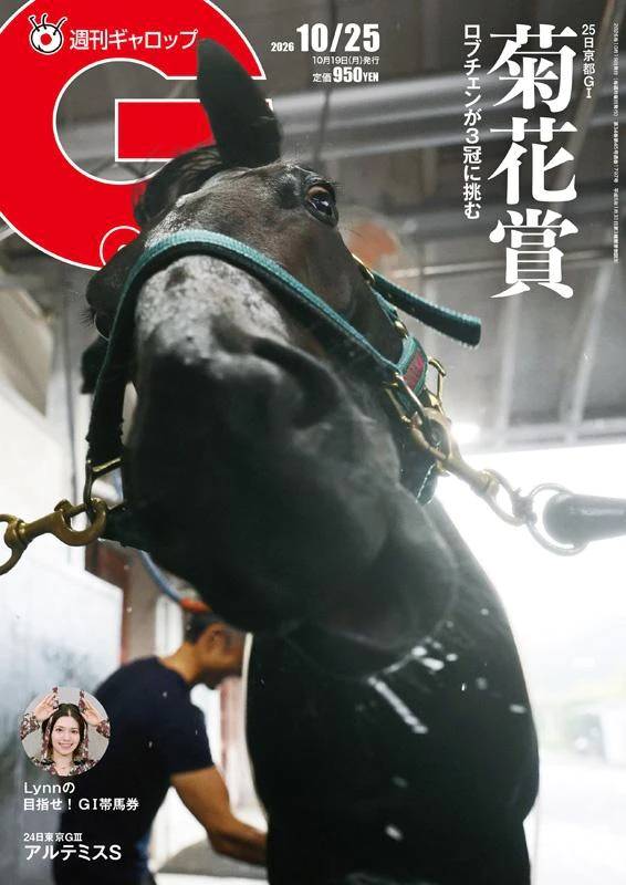 お休みです🙏