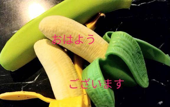 おはようございます