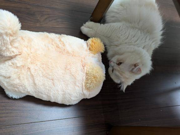 完熟バナナ立川店🍌れいな　　お知らせ