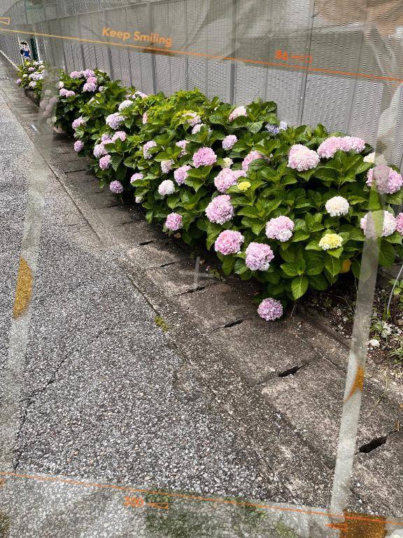 おはようございます💕