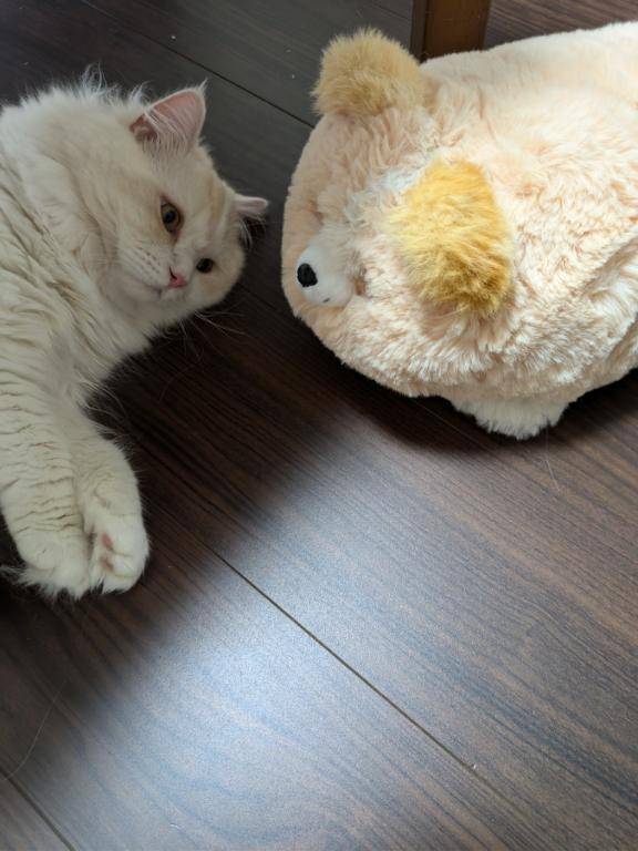 完熟バナナ立川🍌れいな