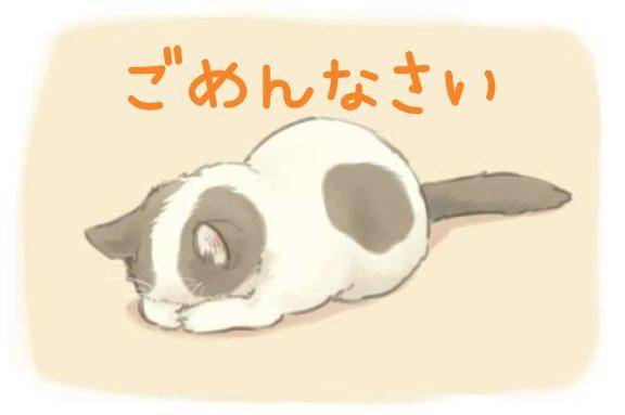 お休みします