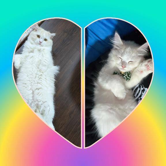 完熟バナナ立川店🍌れいな