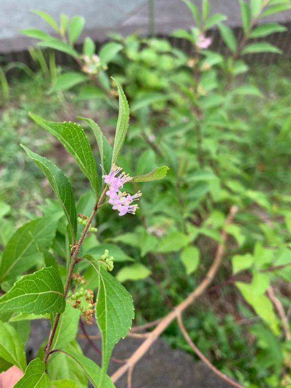 お疲れ様です🤗