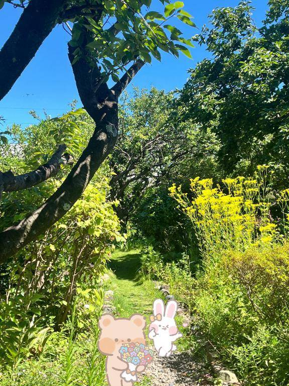 おつかれさまです💕💕