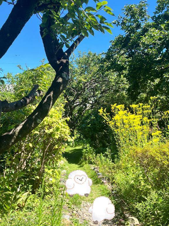 おつかれ様です💕💕