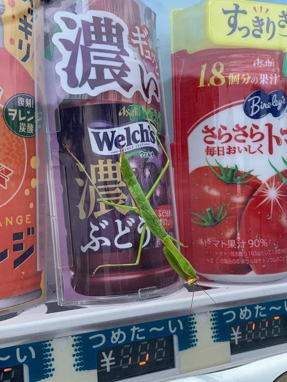 こんばんは🙂‍↕️