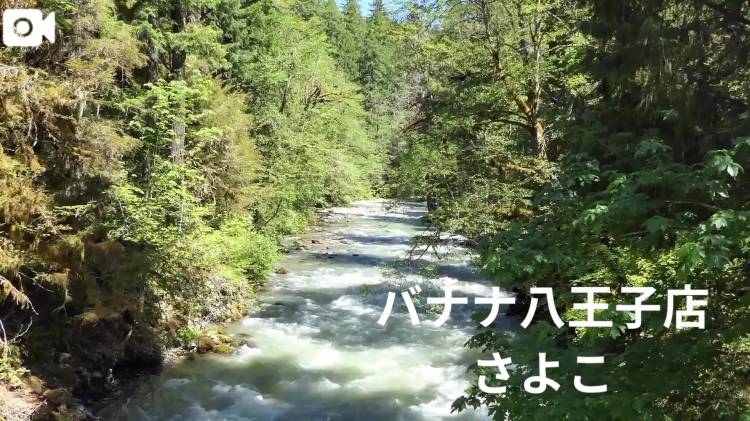 こんにちは  さよこです