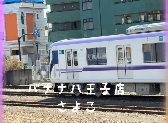 今晩は  さよこです