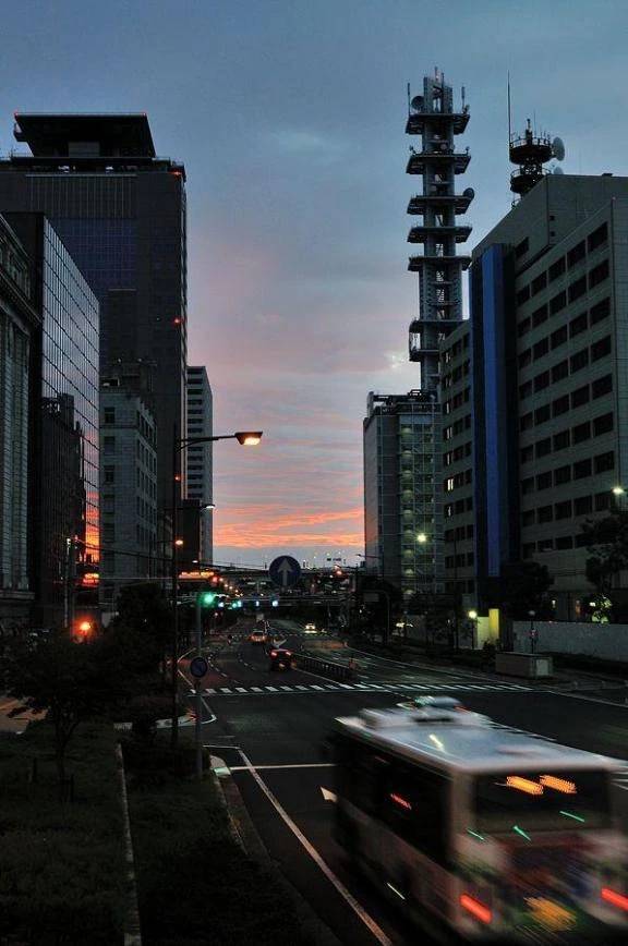今日の早朝