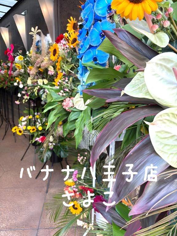 こんにちは  さよこです