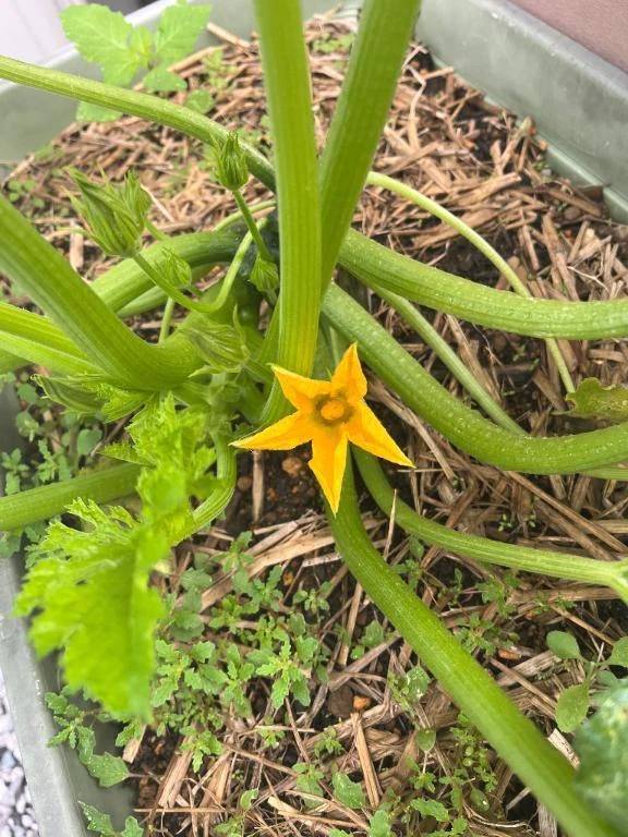 おはようございます