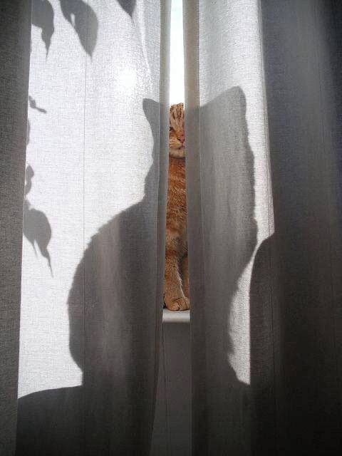 ありがとうございました
