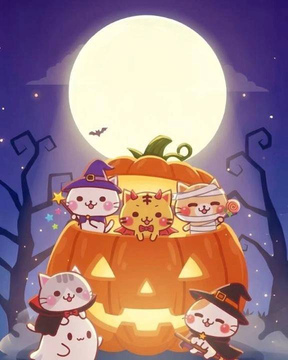 お久しぶりです