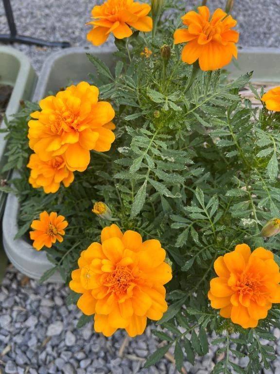 おはようございます