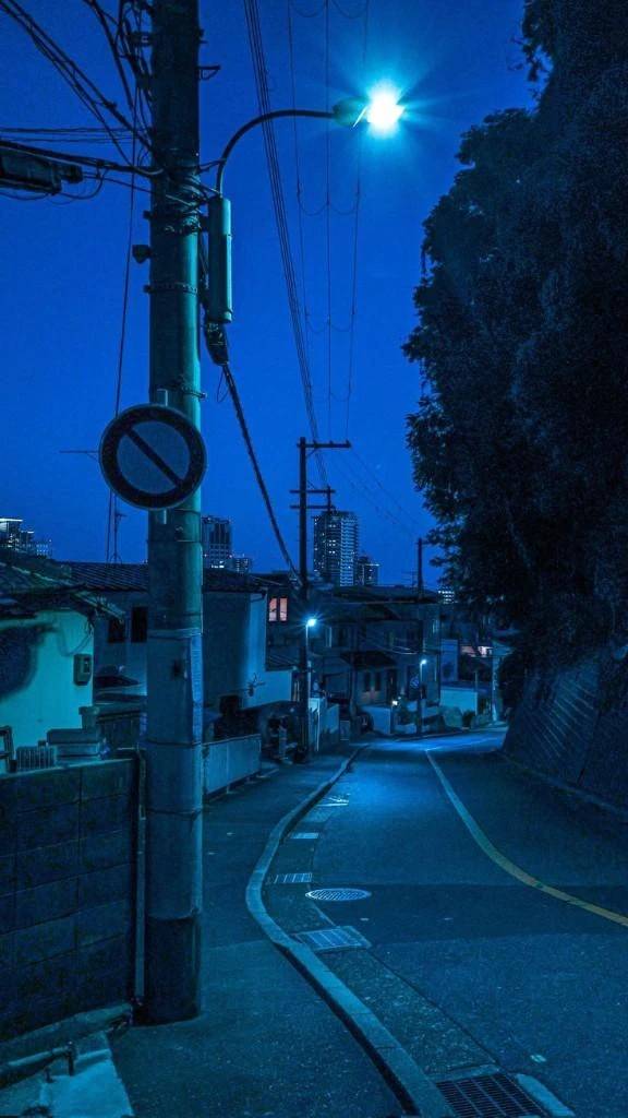 きゅうり