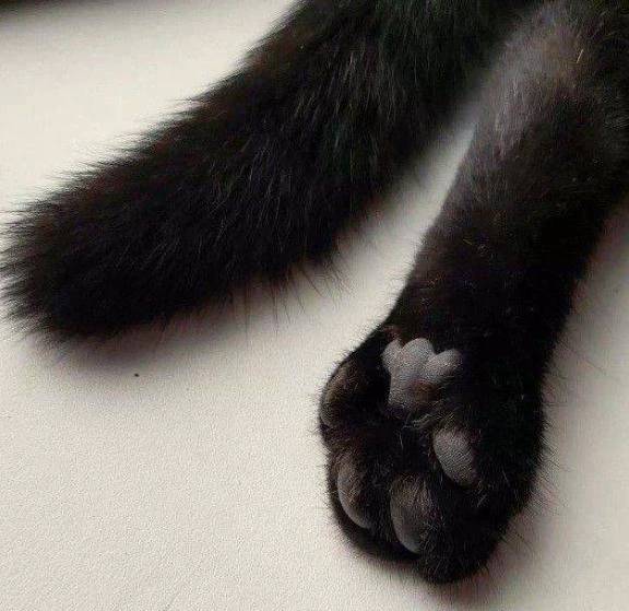 お疲れ様です🌜️