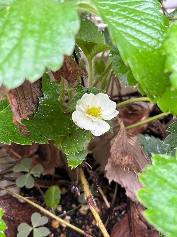 おはようございます