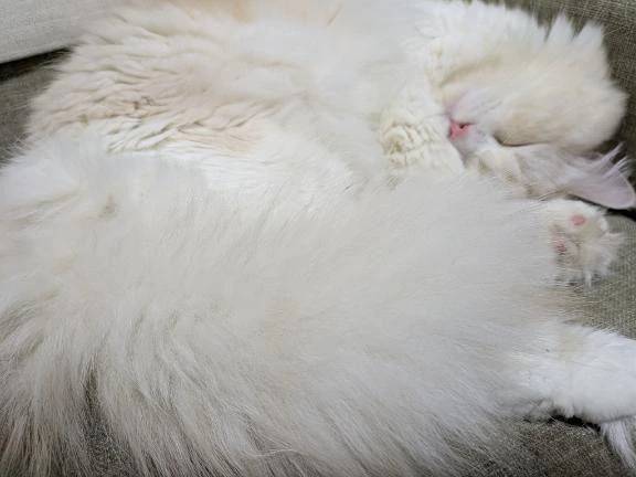 完熟バナナ立川店🍌れいな