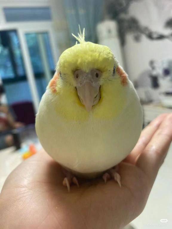 今日は半袖の人がいたらしいです