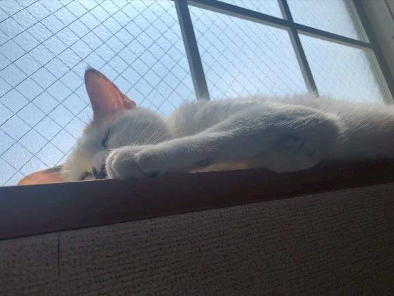 完熟バナナ立川店🍌れいな