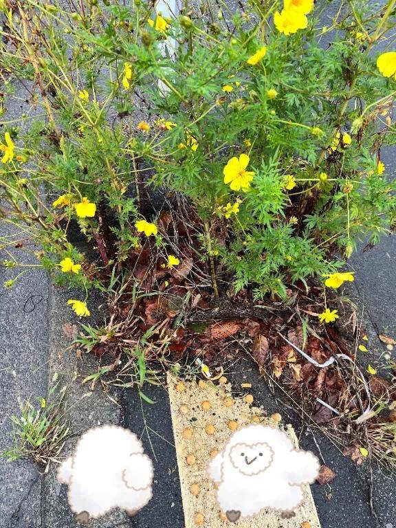 あなたは、強い‼️