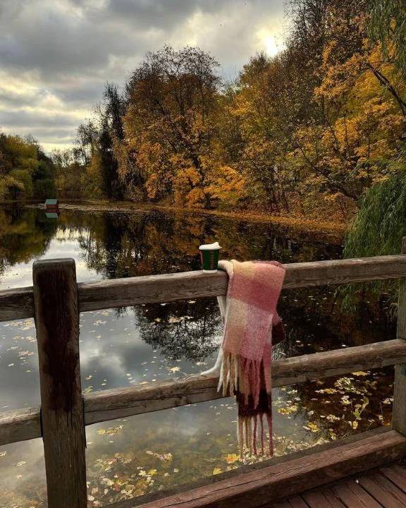 こんにちわ☀️