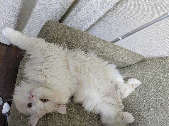 完熟バナナ立川店🍌れいな