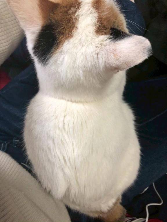 完熟バナナ立川店🍌れいな