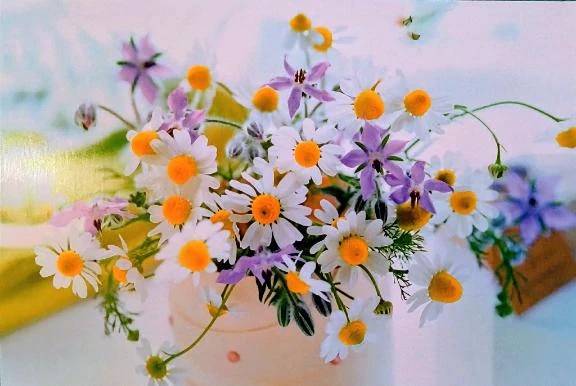 久しぶりの出勤でした✨️