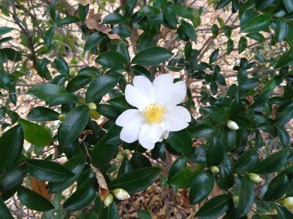 平日のルーティン。