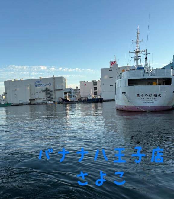 こんにちは   さよこです