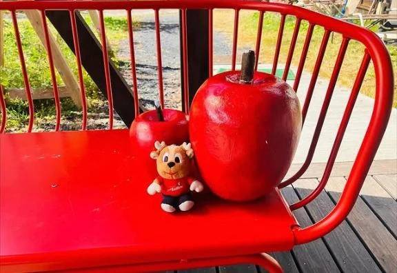 完熟ばなな八王子店　いつきです🤗