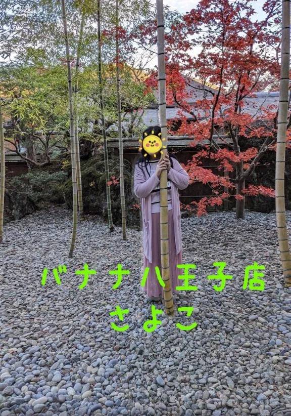 今晩は  さよこです