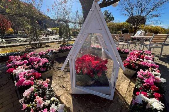 完熟ばなな八王子店　いつきです🤗