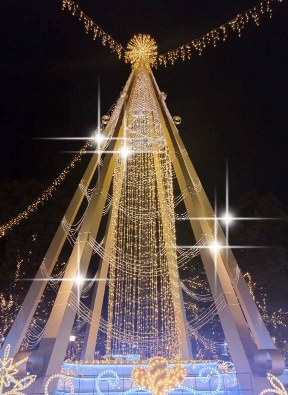 生まれ変わるならどっち？